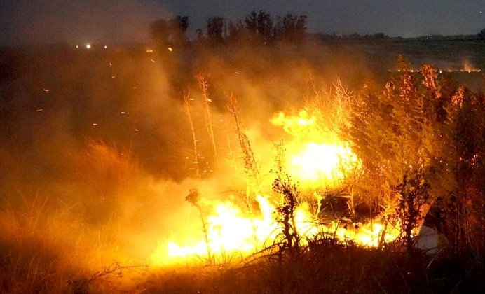 Una superficie de 20 hectáreas se incendiaron anoche