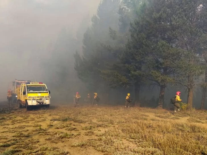 Con llantos y gritos, los vecinos de El Bolsón celebraron la llegada de la lluvia