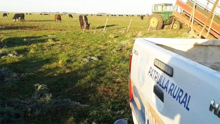 Violento robo en campo de ruta 228: productora agraria fue atada con un cable