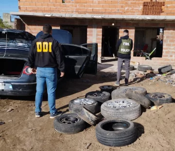 Cayó un roba ruedas tras allanamiento en calle 45