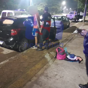 Detuvieron a una pareja que llevaba armas y varias patentes en el auto