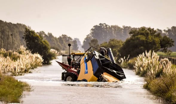 Cayó una cosechadora al Río Quequén Salado