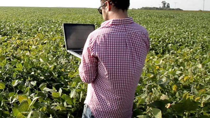 Buscan encargado de producción agrícola con experiencia