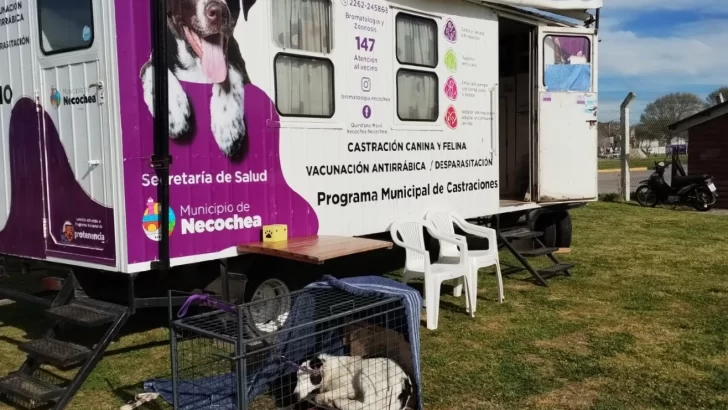 ¿Dónde estará el quirófano móvil durante abril?