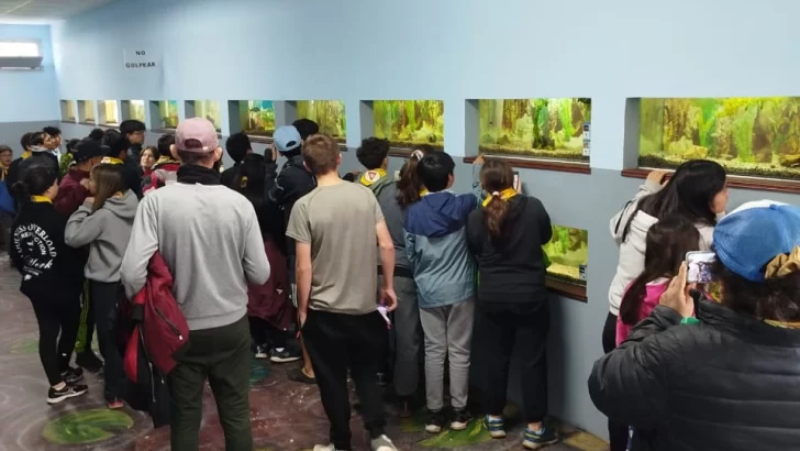 Alumnos de Balcarce visitaron la Estación de Piscicultura
