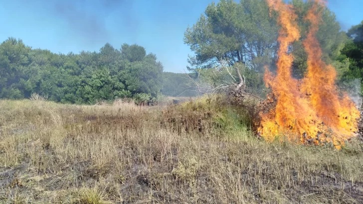 Un incendio forestal consumió cinco hectáreas en Quequén