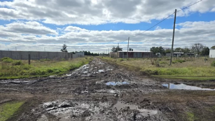 Solicitan que reparen calles de Villa del Deportistas y otros barrios