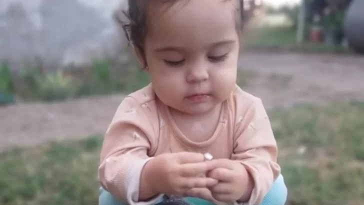 Analizarán el ADN de restos biológicos hallados para determinar si son de Delfina Hecker