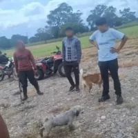Un hombre fue condenado a dos años de prisión por matar a una perra