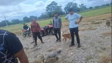 Un hombre fue condenado a dos años de prisión por matar a una perra
