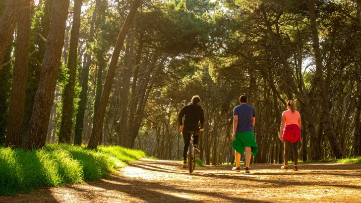 Convocatoria de turismo: reunión de guías con título de nivel superior
