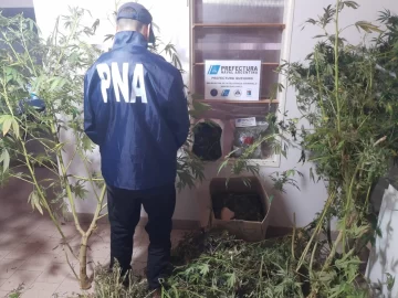 El valor de lo secuestrado por Prefectura llega a $98.000.000