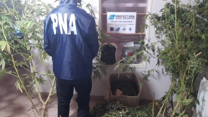 El valor de lo secuestrado por Prefectura llega a $98.000.000