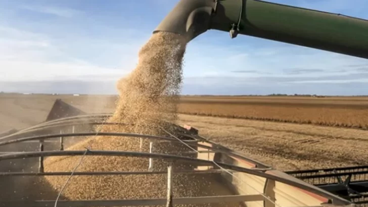 Un indicador clave anticipa una liquidación grande de divisas de campo que ilusiona al gobierno