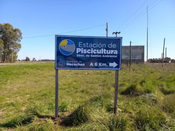 Estación de Piscicultura: realizan recorridas educativas alumnos de Secundaria