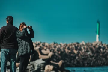AVISTAJE-728x485