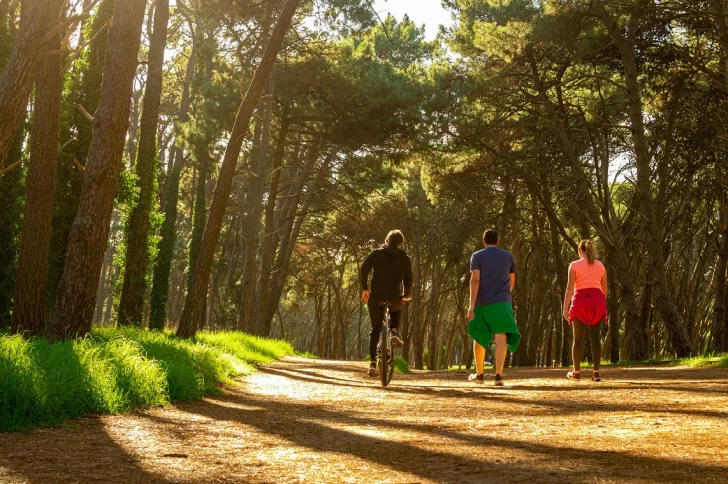 Cuáles son las actividades deportivas gratuitas y al aire libre que se ofrecen los sábados