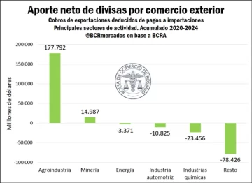 Grafico-Exportaciones-1-728x529