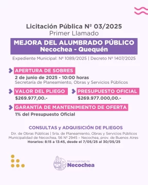 PLACA-Licitacion-Publica-582x728