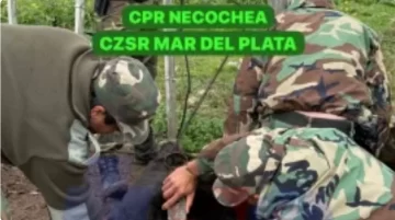 Allanamiento en Ruta 86 por un caso de abigeato