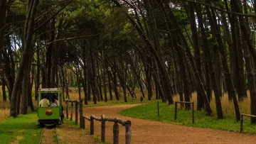 ¿Qué ciudades tienen bosques para escaparle a la ciudad y disfrutar del aire puro cerca del mar?