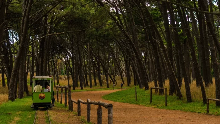 ¿Qué ciudades tienen bosques para escaparle a la ciudad y disfrutar del aire puro cerca del mar?