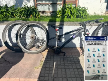 Recuperan bicicletas robadas