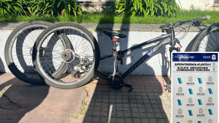 Recuperan bicicletas robadas