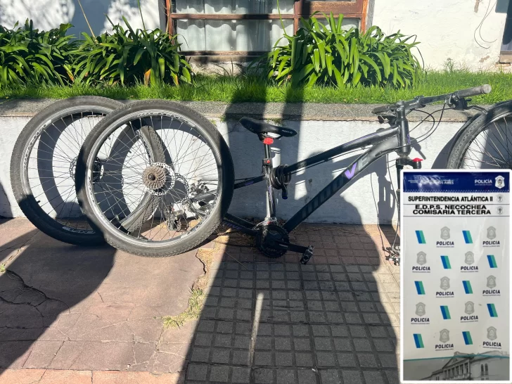 Recuperan bicicletas robadas