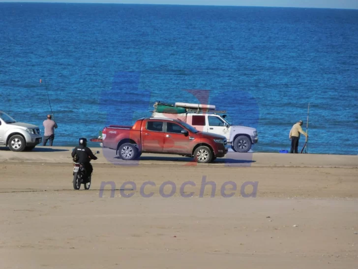 Con vehículos, estaban pescando en la zona de balnearios