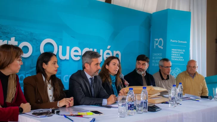 17 empresas presentaron sus ofertas en las Licitaciones de Puerto Quequén