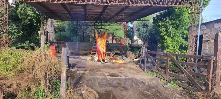 Impactante allanamiento en Quequén: secuestran animales, carne faenada y armas de fuego