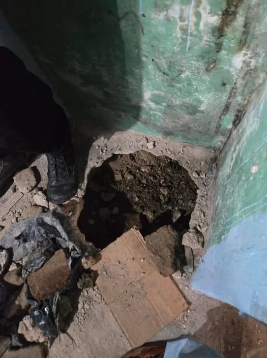 Importante operativo antidrogas en Sierra Chica: secuestran más de 4 kilos de estupefacientes