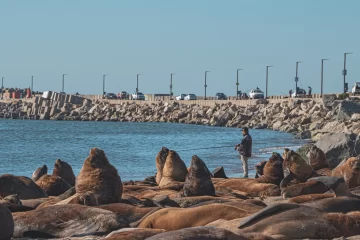 Descubrí por qué Necochea es el paraíso indiscutido de la pesca