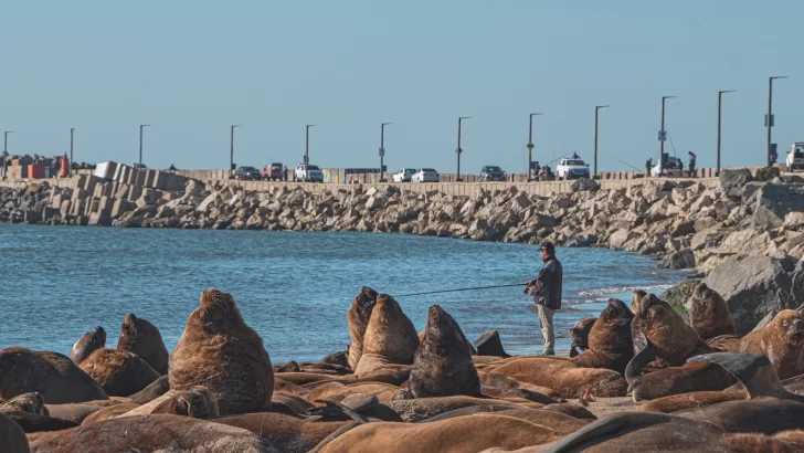 Descubrí por qué Necochea es el paraíso indiscutido de la pesca