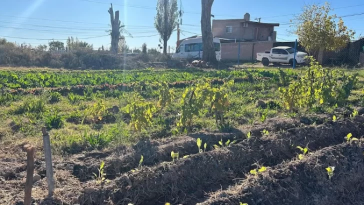 Tuvo sexo con una compañera de trabajo en la Municipalidad, lo descubrieron y lo echaron