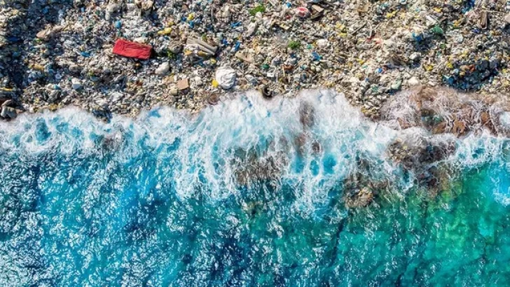 5 de junio, Día Mundial del Medio Ambiente: la necesidad de erradicar la contaminación por plástico