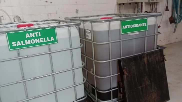 Autoridades de Medio Ambiente intensifican controles en industrias locales