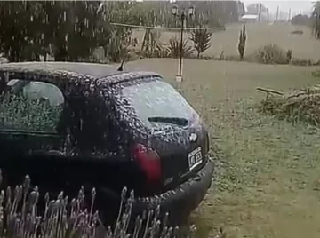 Video: cayó nieve en Miramar y Tandil