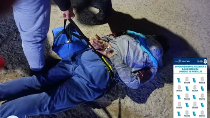 Raid delictivo en Necochea: robos, persecución y un detenido