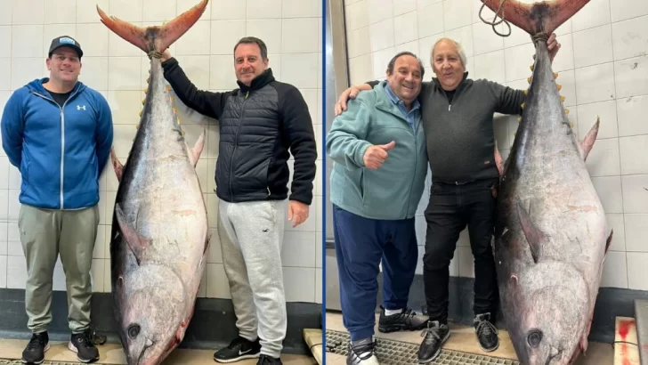 Iban por merluza pero no creerás con qué pieza de 165 kilos se encontraron