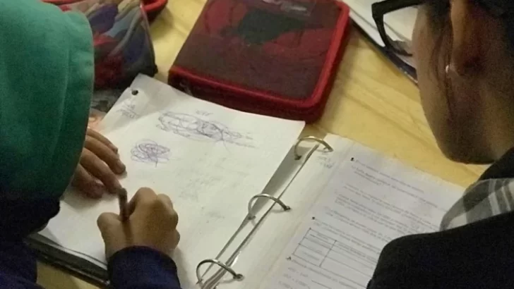 Cuáles son las materias con más demanda ante la falta de docentes que advierten en Provincia