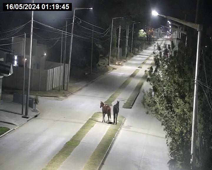 local_snapshot_40-_Avenida-75-Y-Avenida-98-D-Channel-1_2024-05-17_11-43-16_802