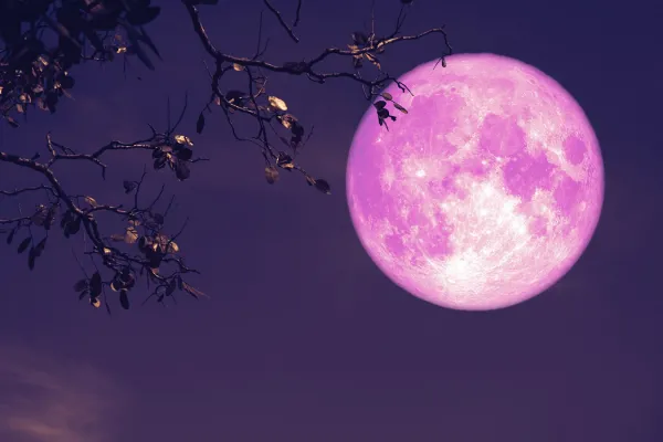 luna-llena-se-llama-luna-fresa-
