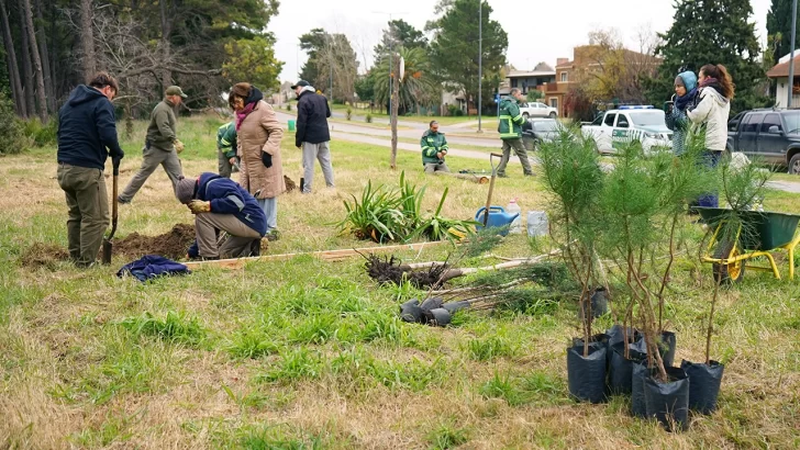 Plantaron nuevos especies arbóreas en el Parque Miguel Lillo