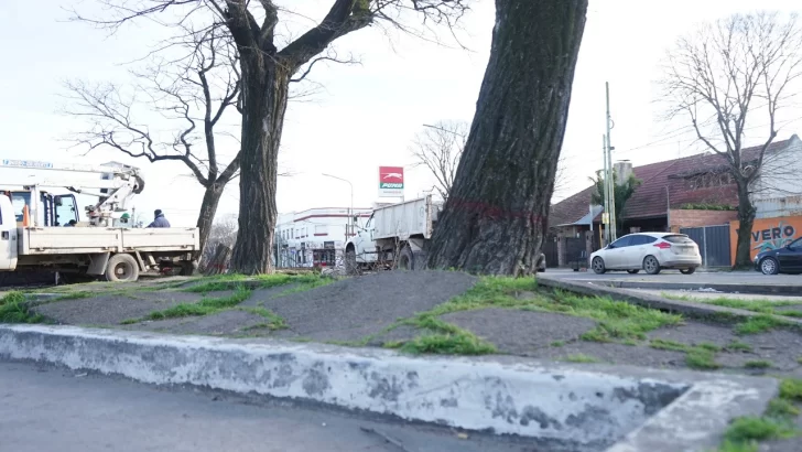 Infraestructura urbana: acondicionan el bulevar de avenida 59 entre 44 y 46