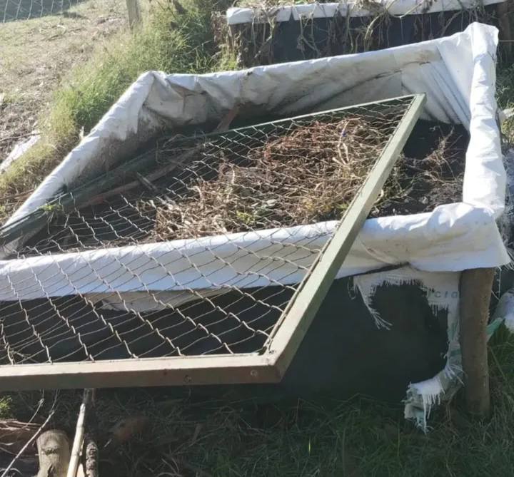 Vandalismo en la huerta escolar de la Escuela Almafuerte