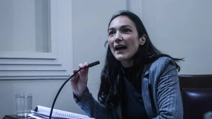 Graciana Maizzani candidata en la asamblea radical