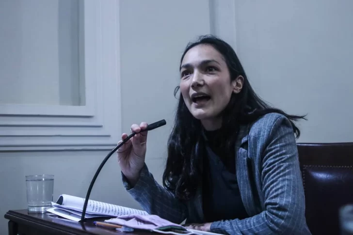 Graciana Maizzani candidata en la asamblea radical