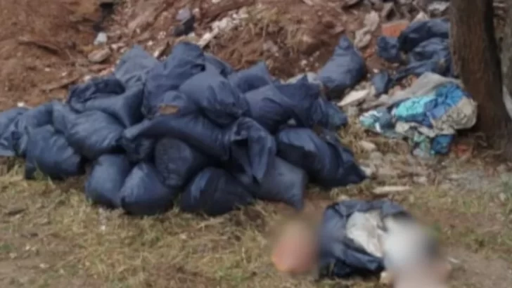 Macabro hallazgo: identificaron el cuerpo desmembrado en Córdoba
